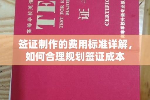 安化签证制作的费用标准详解，如何合理规划签证成本